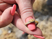 На раскопках в нацпарке Сусита обнаружены уникальные золотые украшения