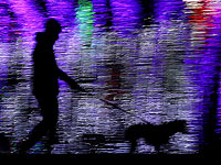 Собаки могут обнаружить болезнь Паркинсона за несколько лет до появления симптомов