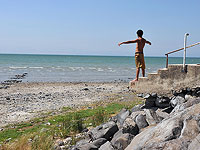 Символ засухи: в Кинерете у пляжа Мааган впервые за пять лет появился остров