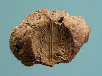 В Иерусалиме обнаружена булла конца эпохи Первого храма