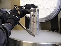 В США зафиксировано рождение 