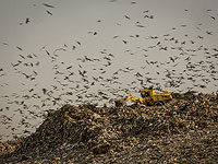 Управление госкомпаний требует закрыть компанию по очистке почвы в округе Шарон как неэффективную