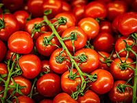 Метод 3D-видео, разработанный израильскими ученым, точно оценивает здоровье томатов