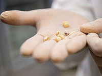 Зубы возрастом 4000 лет свидетельствуют о самом раннем использовании психоактивного вещества