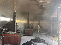 Пожарные эвакуировали всех лошадей из конюшни в Мишмар а-Шива, огонь локализован