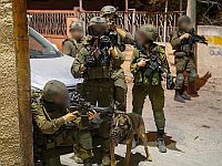 В течение недели в Иудее и Самарии конфискованы около 30 единиц оружия