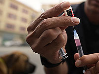 Новые случаи бешенства в Галилее: в поселке Альма обнаружены два больных теленка