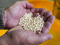 Ученые разработали биопластик, разлагающийся при комнатной температуре