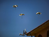 Более 80 контейнеров гуманитарной помощи сброшены в сектор Газы