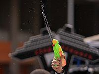 Арестованы двое англичан: они поливали ультраортодоксов водой из водяного пистолета