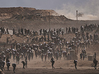 The Guardian: ЦАХАЛ ведет систематический огонь по жителям Газы, пришедшим за продовольствием