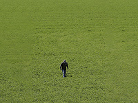 Связь человека с природой за 200 лет сократилась на 60%. Новое исследование