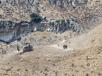 Из-за жары маршруты закрыты. На Голанах спасли 17 человек в ходе пяти спасательных операций