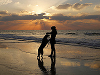 Собаки помогают людям контролировать стресс даже лучше, чем считалось