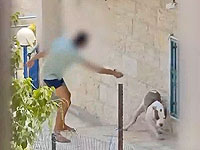 Житель Мевасерет-Циона арестован за избиение собаки палкой. Видео