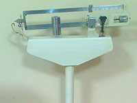 Израильские ученые остановили потерю веса при раке, блокируя связь печени с мозгом