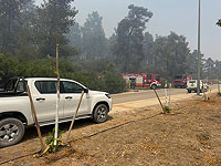 Пожар в лесу Эштаоль взят под контроль, ведется тушение нескольких очагов