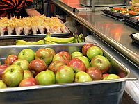 Добавление микрочастиц железа в пищу может помочь бороться с недоеданием