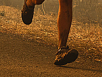 Чемпионат мира по ориентированию. Израильтяне завоевали две золотые медали