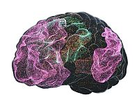 Cоздан первый 