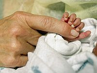 Трагедия в Лилле: шестилетний мальчик убил новорожденную в отделении для младенцев