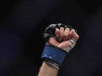 ММА. Украинец стал чемпионом  Legacy Fighting Alliance