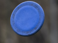 Фрисби. Юношеский чемпионат Европы. Результаты израильтян