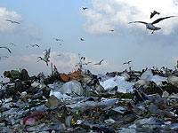 60% площади суши в мире находится в неблагоприятном состоянии