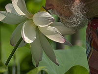 Ослабление обоняния может быть самым ранним признаком болезни Альцгеймера