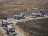 Израиль: ООН 