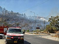 Пожар в районе Мевасерет-Циона локализован, тушение продолжается