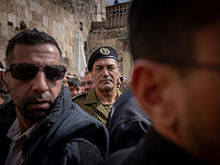 Правительство против Замира: 