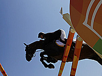 Конный спорт. Израильтянин стал победителем Гран-при в Торонто