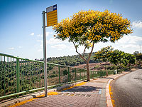 Больной корью ездил в общественном транспорте: даты и маршруты