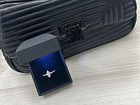 Полиция вернула жениху украденное кольцо и организовала площадку для предложения. Видео