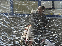 Железнодорожная авария на северо-западе Египта, есть погибшие и пострадавшие