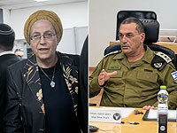 Замир против Струк: 