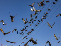 Радиостанция 