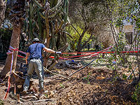 Судя по сообщению полиции Израиля, хуситы вновь применили ракету с кассетной боевой частью