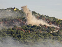 Минздрав Ливана: БПЛА ЦАХАЛа атаковал цель на юге страны, есть убитый