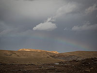 Пустыни мощно выбрасывают парниковые газы после дождя, но микробы в этом не виноваты