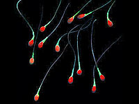 Ученые превратили сперматозоиды в микророботов для доставки лекарств