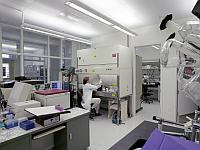 FDA одобрило израильского микроробота для операций внутри артерий