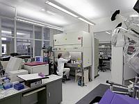 FDA одобрило израильского микроробота для операций внутри артерий