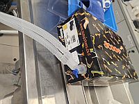 Ашдодские ветеринары спасли тонувшего в море попугая-неразлучника