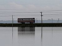 На Шри-Ланке автобус упал в пропасть, множество погибших