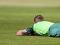 Пчелы прервали футбольный матч в Танзании