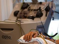 Микробы в опухолях повышают эффективность химиотерапии