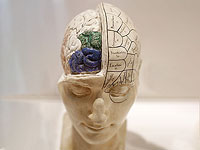 Запахи могут обмануть мозг и заставить его чувствовать сладкий вкус