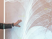 Ученые обнаружили микропластик глубоко внутри человеческих костей